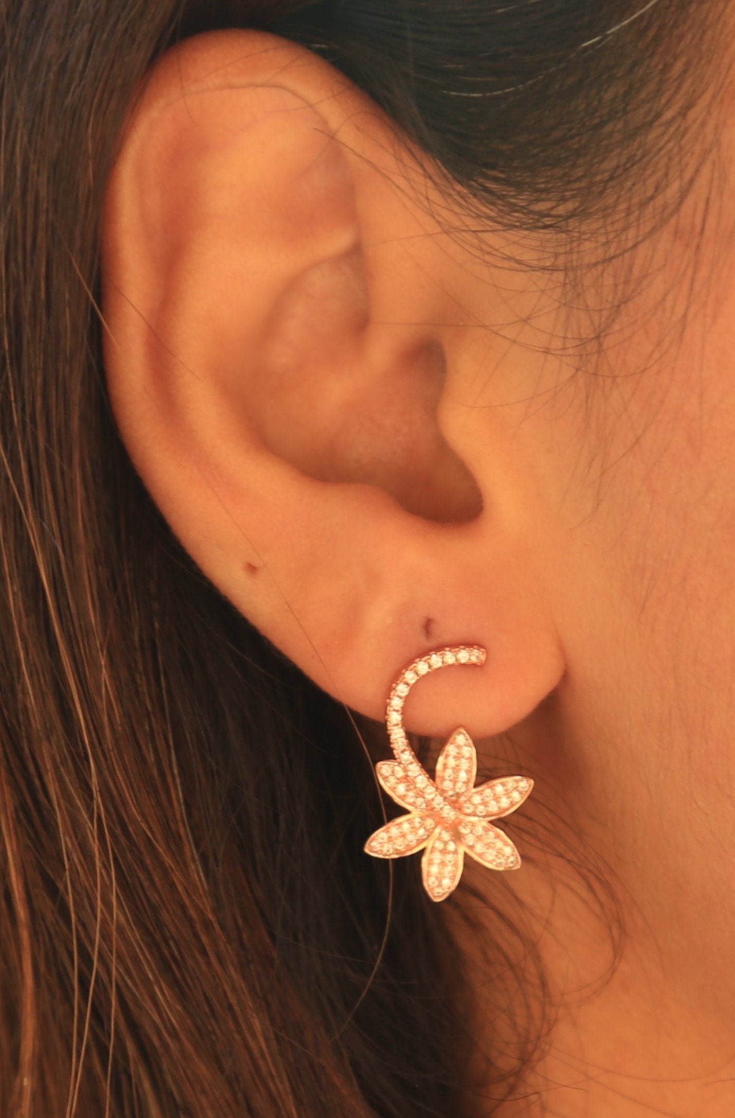 Rose Pentacle Bliss Curvy Earrings